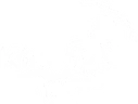 Kineto Junior