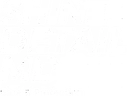 Shine Detail MD